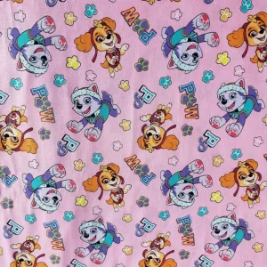 Hvolpasveitin Paw Patrol